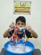 Pre Primary Activity